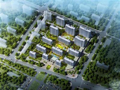 姜店鎮(zhèn)鄉(xiāng)村振興示范區(qū)綠化提升項(xiàng)目